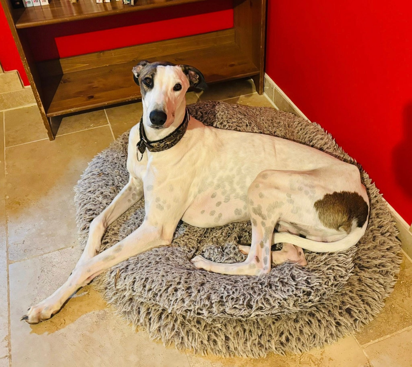 Ahzur aka avery Du domaine de pharamond