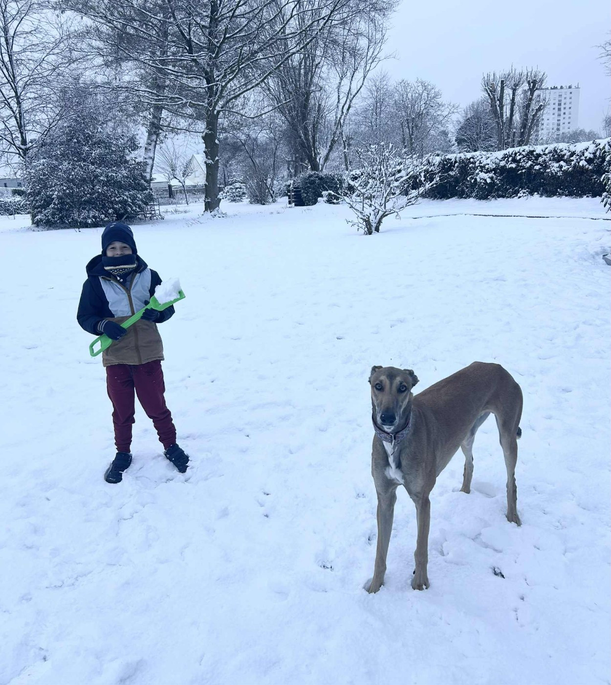 Ahpollon Du domaine de pharamond