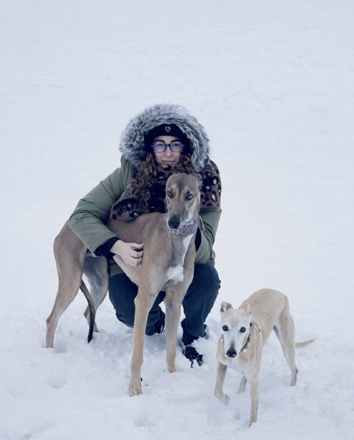 Ahpollon Du domaine de pharamond