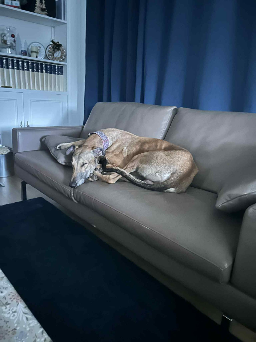 Ahpollon Du domaine de pharamond