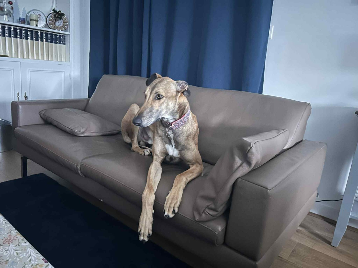 Ahpollon Du domaine de pharamond