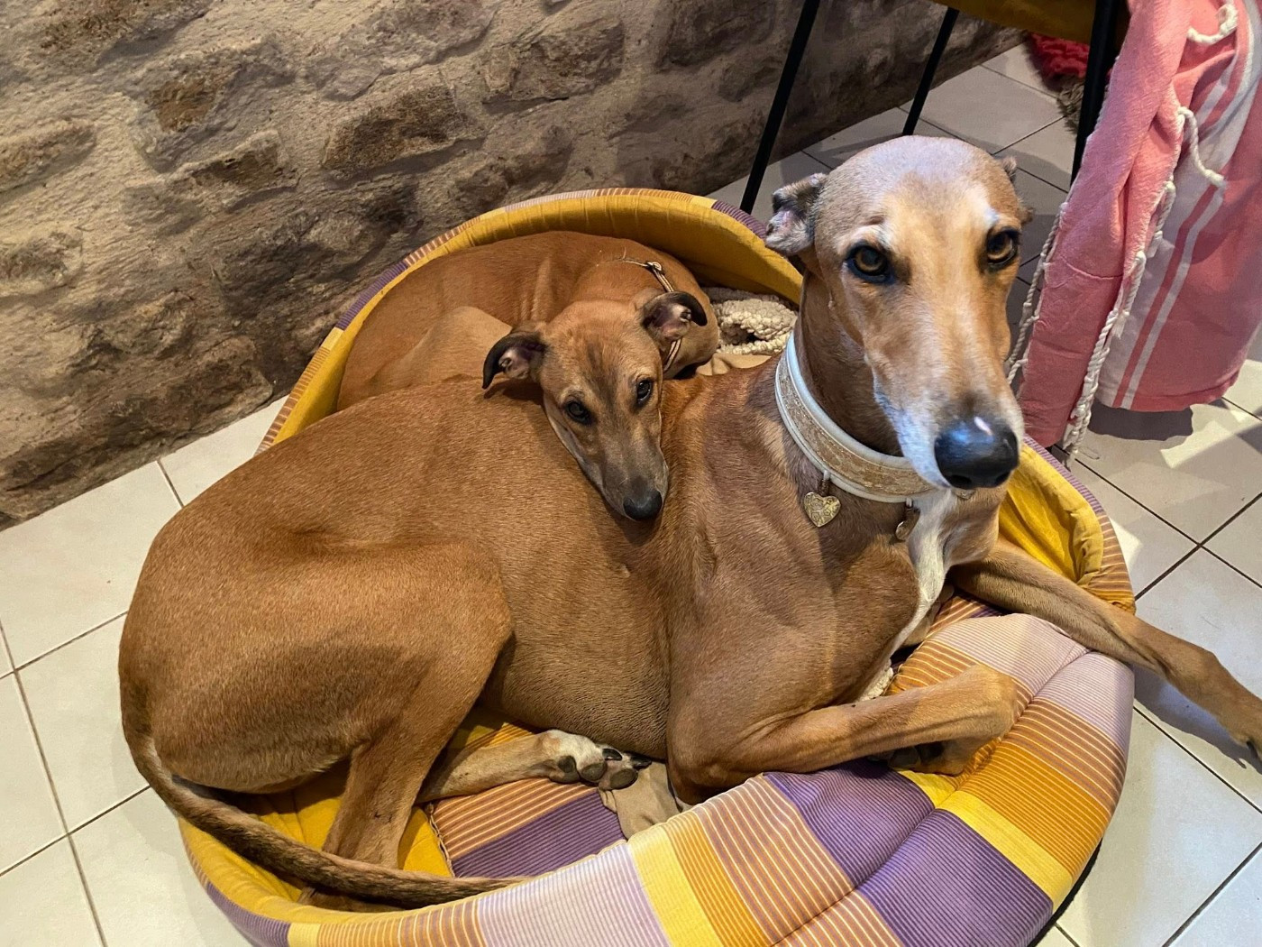 Andahlou Du domaine de pharamond