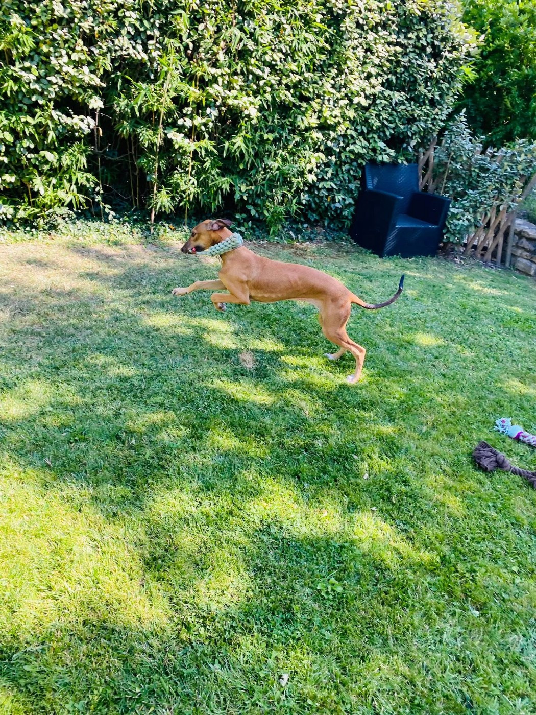 Andahlou Du domaine de pharamond