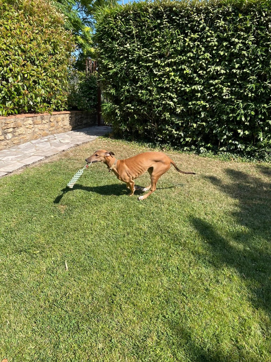 Andahlou Du domaine de pharamond