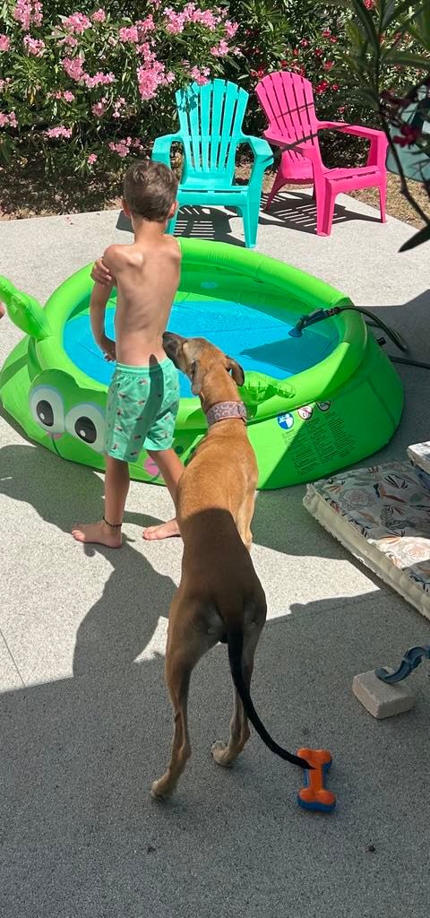 Ahpollon Du domaine de pharamond