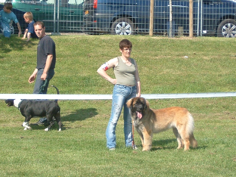 CH. Ulanne des Jardins De Boudou - CACS