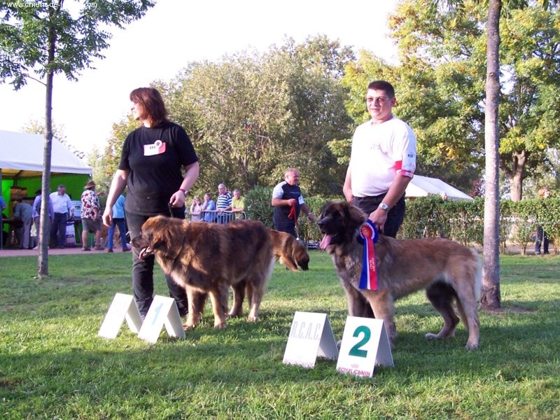 CH. Ulanne des Jardins De Boudou - Nationale