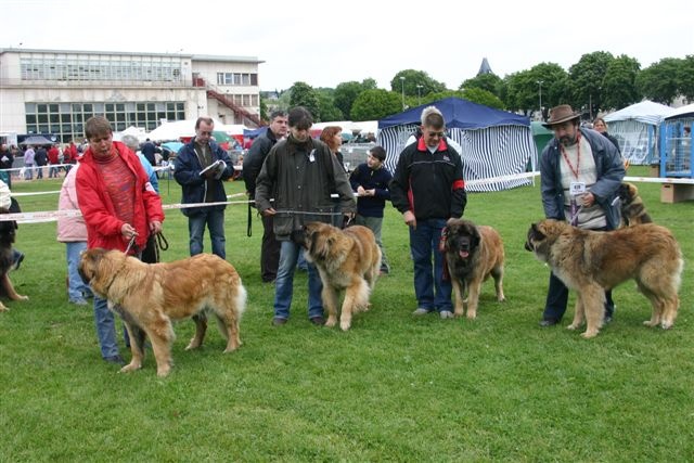 CH. Ulanne des Jardins De Boudou - 2 ème excellent RCACS