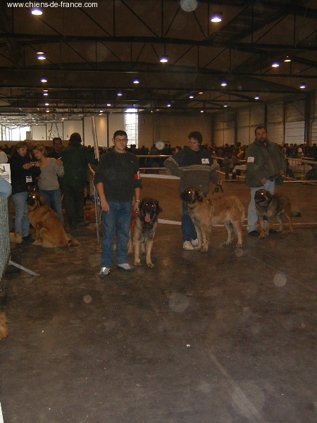 CH. Ulanne des Jardins De Boudou - CACIB