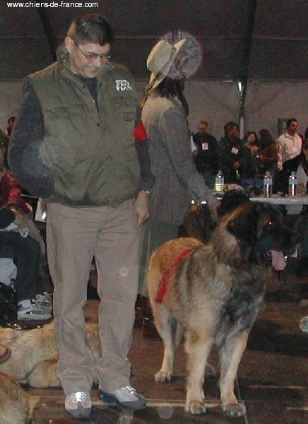 CH. Ulanne des Jardins De Boudou - 2 ème EXCELLENT Classe Intermédiaire