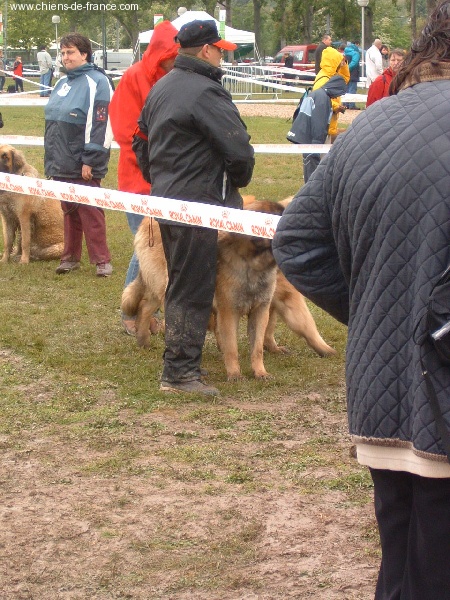 CH. Ulanne des Jardins De Boudou - CACIB