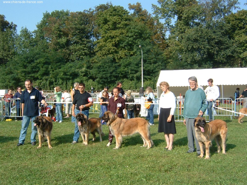 CH. Ulanne des Jardins De Boudou - 2 ème excellent reserve CAC reserve CACIB