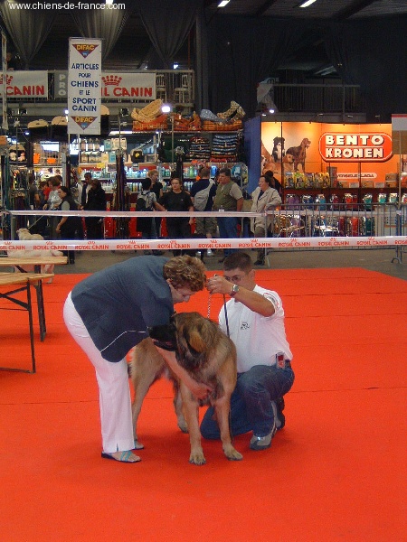 CH. Ulanne des Jardins De Boudou - 1 er excellent CACS