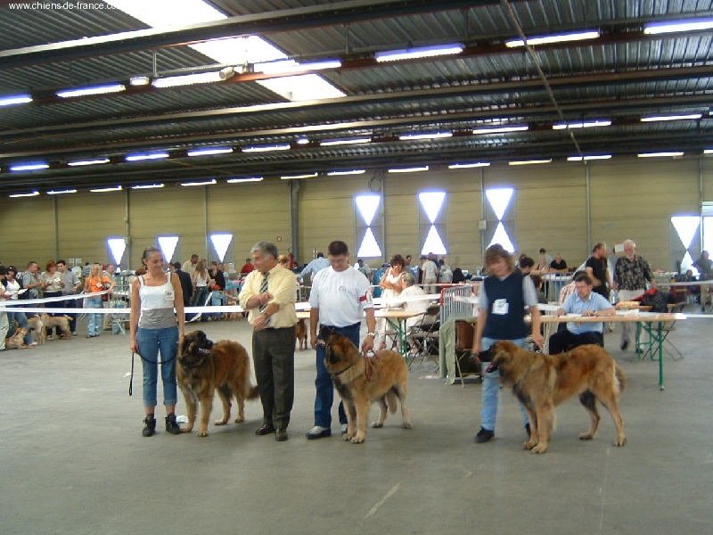 CH. Ulanne des Jardins De Boudou - CACIB