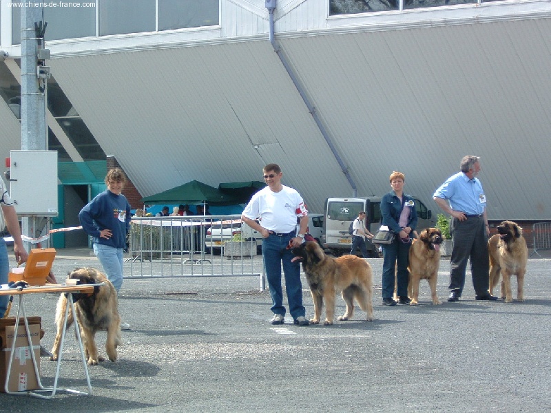 CH. Ulanne des Jardins De Boudou - EXCELLENT