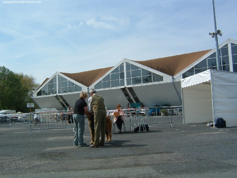 CH. Ulanne des Jardins De Boudou - 2 ème EXCELLENT