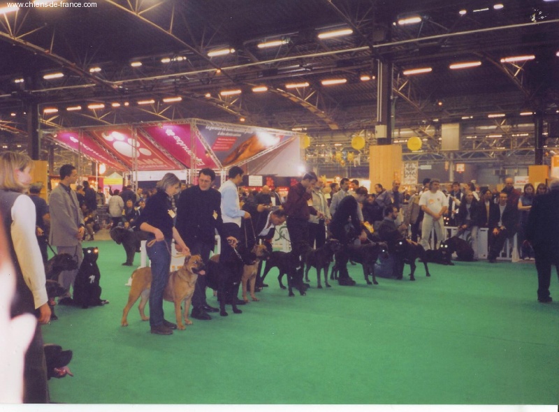 Soka des Loups Des Carrières - 4 excellent