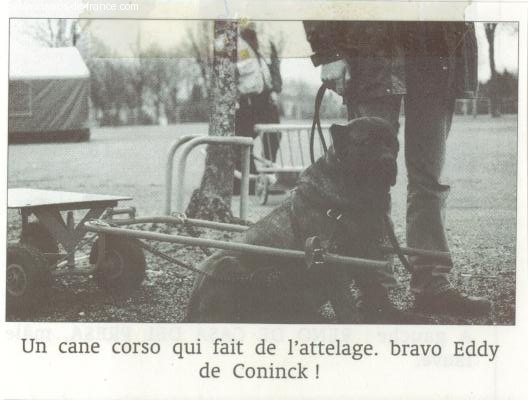 Ada (Sans Affixe) - 21