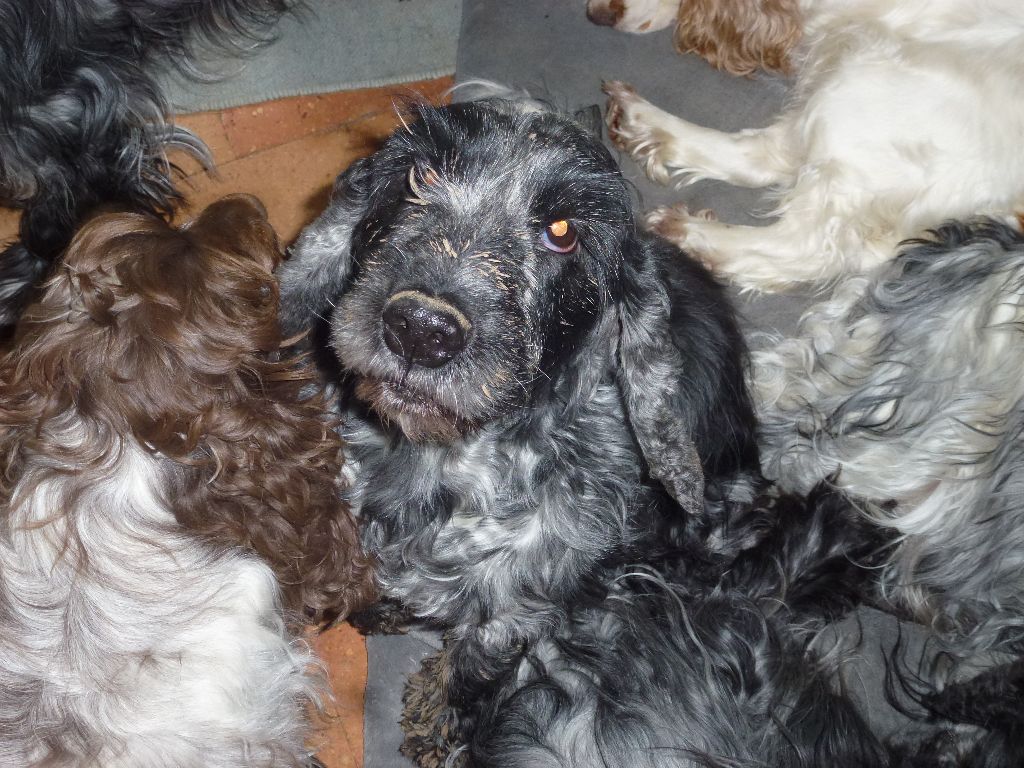 Iana dite souk Ar Ti Marellek