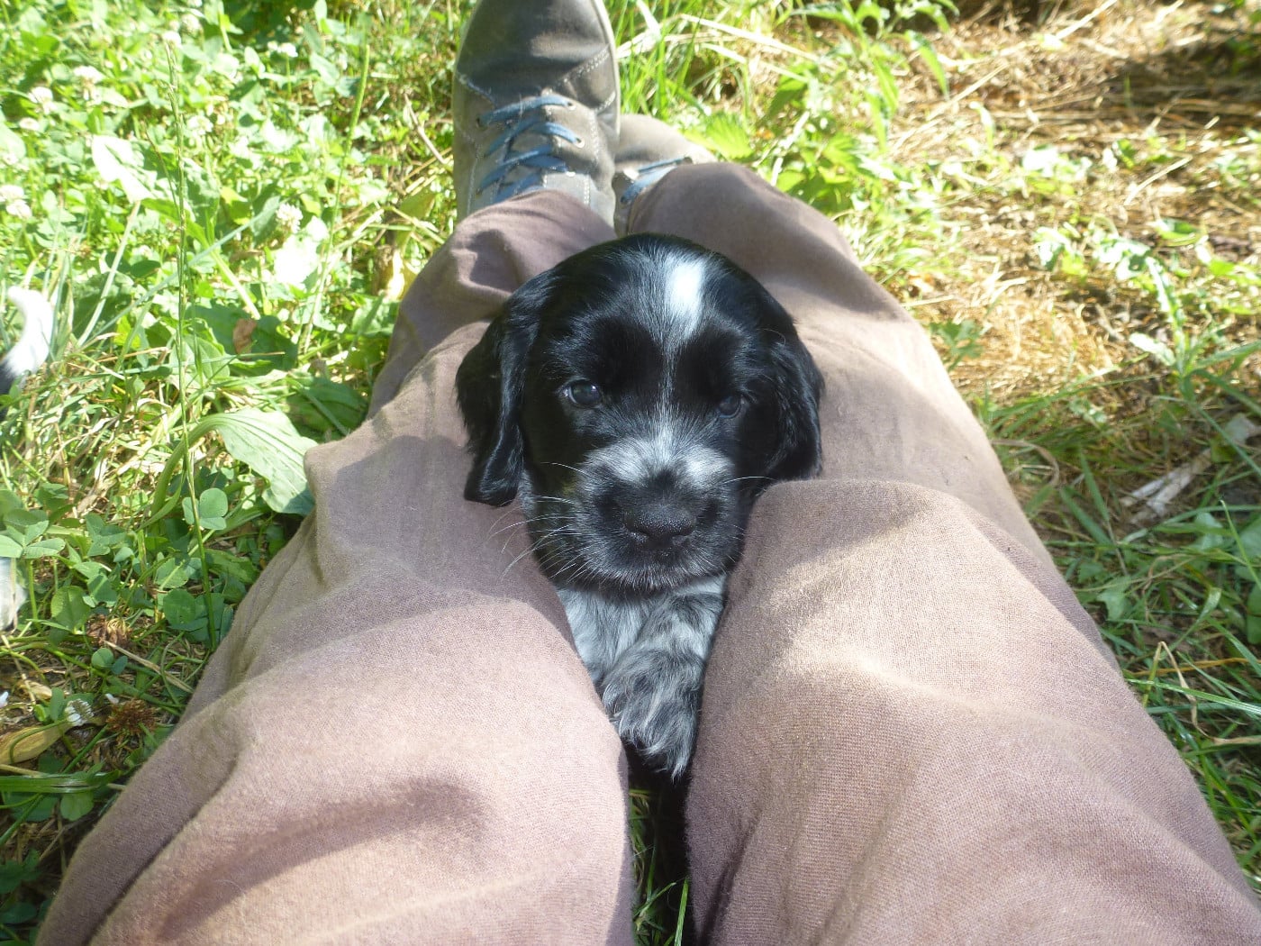 Bella