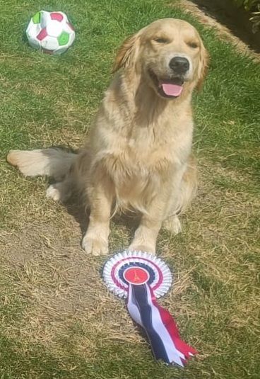 Ulan Des Sablons D'Or