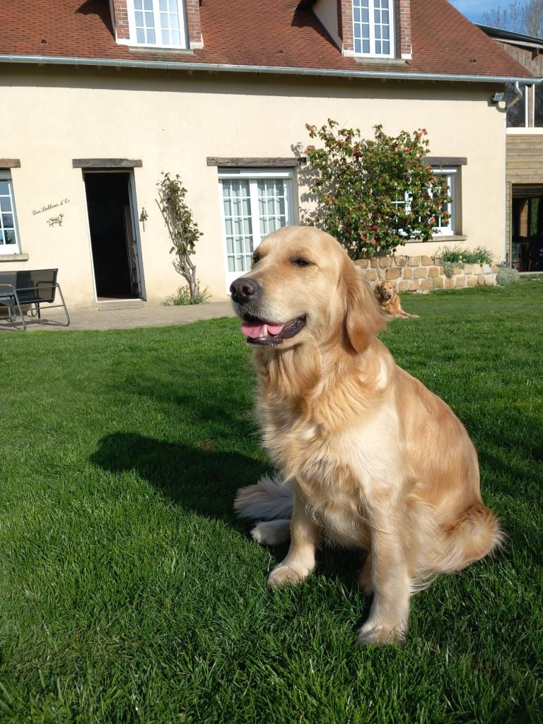 Ulan Des Sablons D'Or