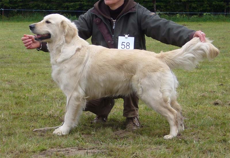 Gena lee Des Sablons D'Or - 4ème excellent