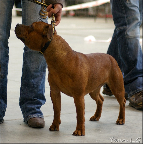 Publication : Du Domaine De Babylone