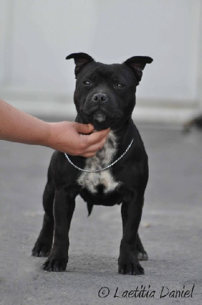 Publication : Pome's World Auteur : Laetitia Daniel