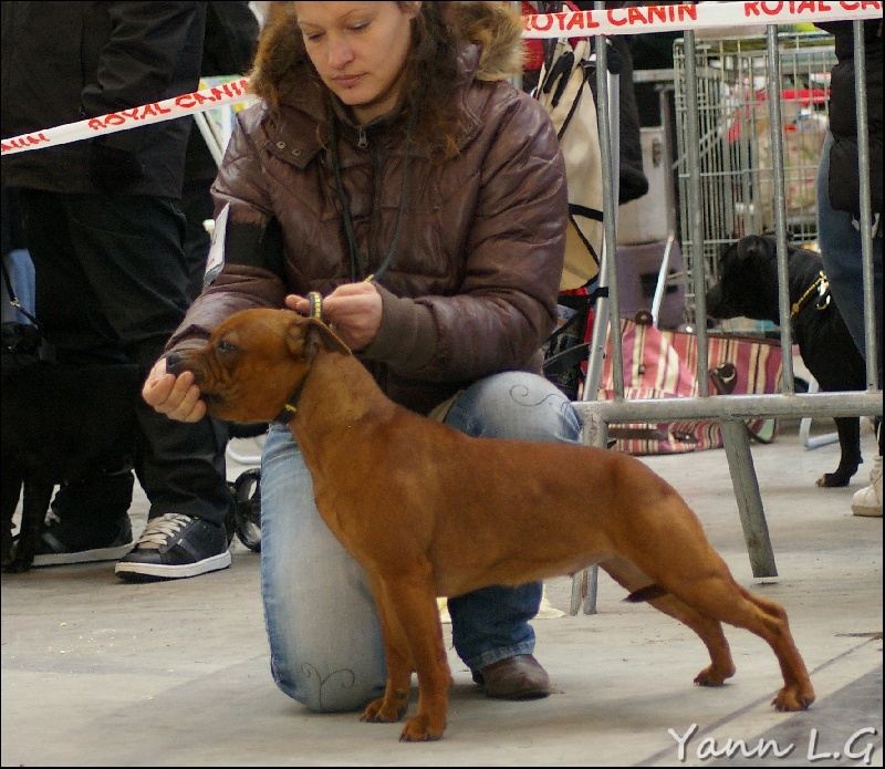 Publication : Du Domaine De Babylone