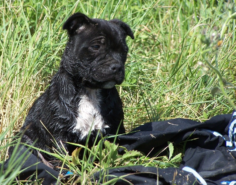 Publication : Pome's World Auteur : Laetitia Daniel