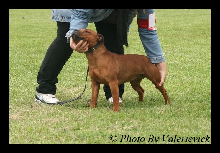 Gaya (Sans Affixe) - 2ème Exc / 25