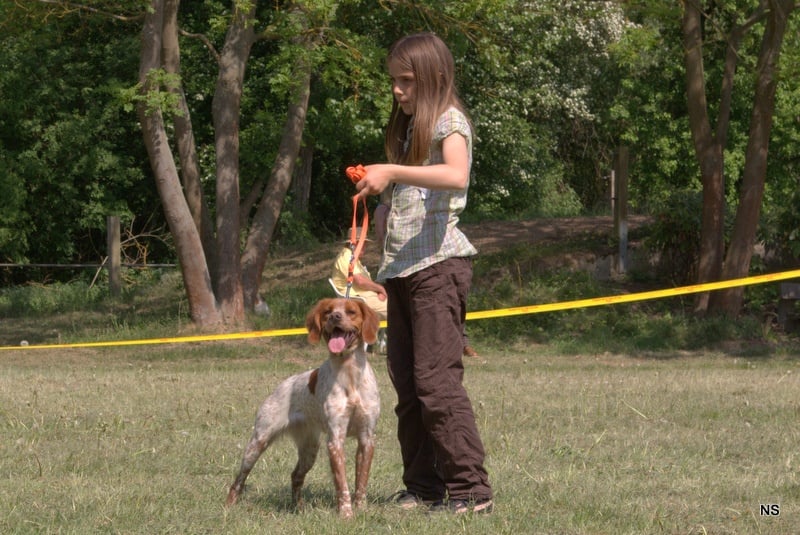 CH. Fensch De Passemarais - 3ème meilleure jeune