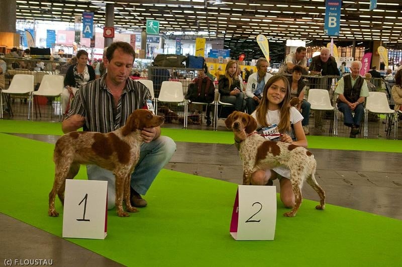 CH. Fensch De Passemarais - 2eme Meilleur Jeune
