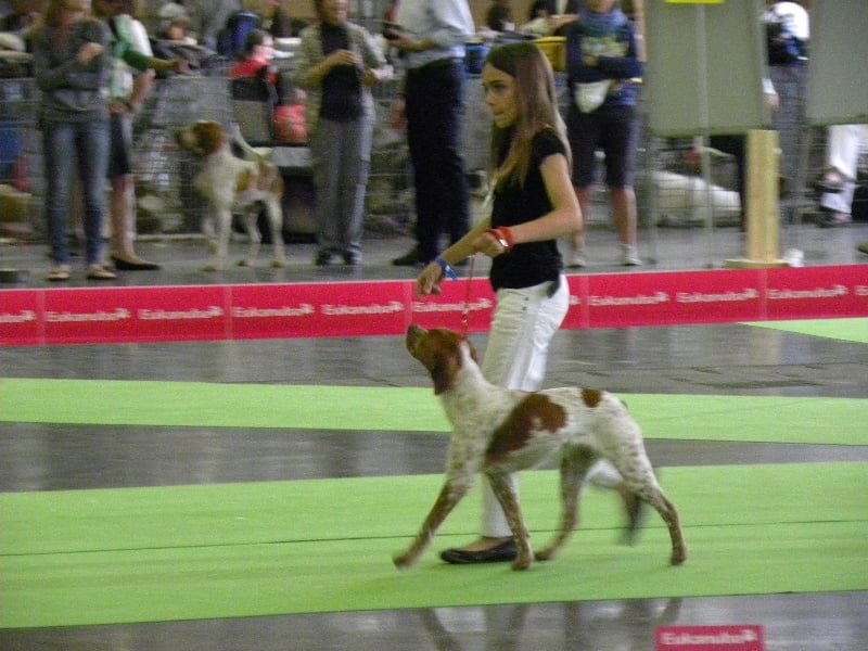 CH. Fensch De Passemarais - 2eme Meilleur Jeune