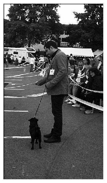 Enzo De la bacska - 1er excellent Meilleur Jeune