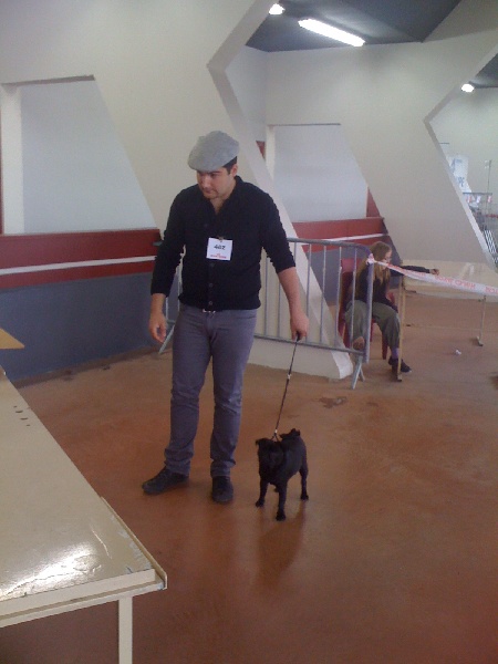 Enzo De la bacska - Très prometteur Meilleur Puppy Meilleur jeune de race