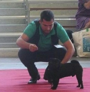 Enzo De la bacska - 3eme EXCL