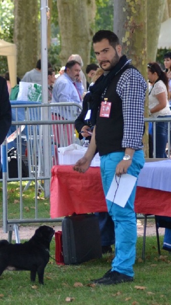 CH. Fran Dé zamours au bois des loups - CACIB - BOS