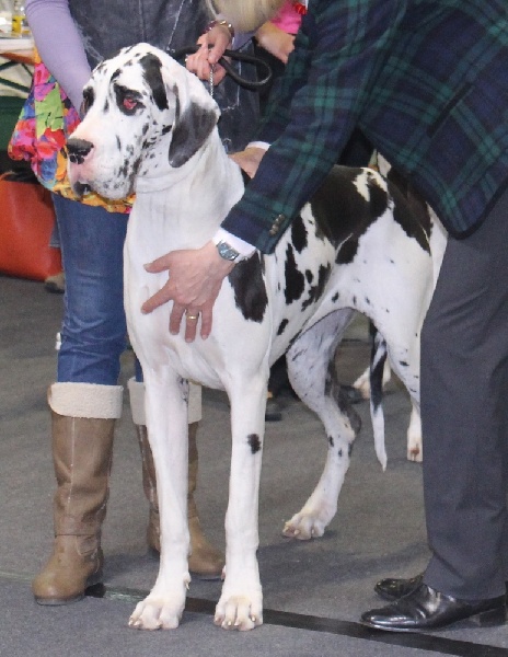 Guapa chica Des Terres Andalouses - Bon