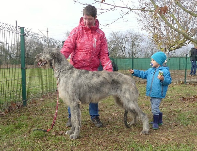 Publication : Green Clover