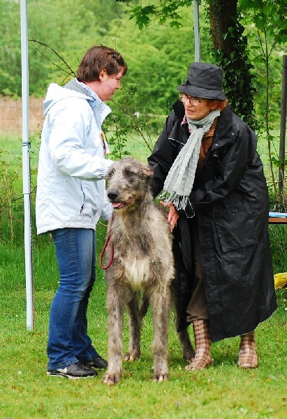 ballalyn's Barlow's take that - Landes Jugend Sieger Baden-Württemberg 2010, Jgd. CAC, Jgd VDH