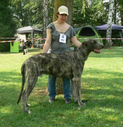 ballalyn's Barlow's take that - 2 EXC