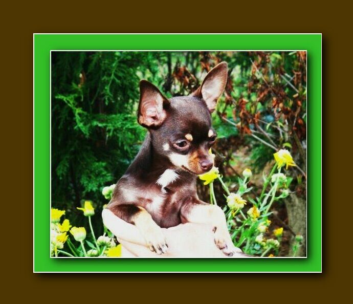 Publication : Du Royaume D'exquise