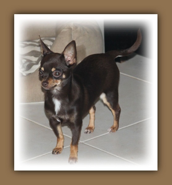 Publication : Du Royaume D'exquise