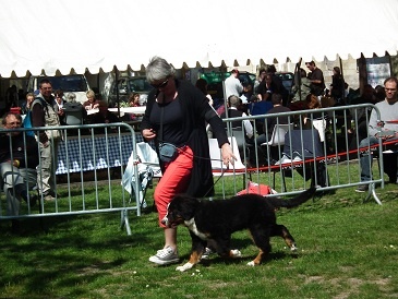 Fossette De La Ferme D'uzes - Très Prometteur