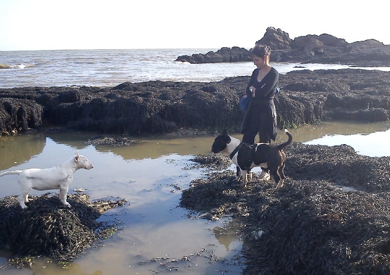 Publication : de la Tribu Parisii Auteur : Poinson