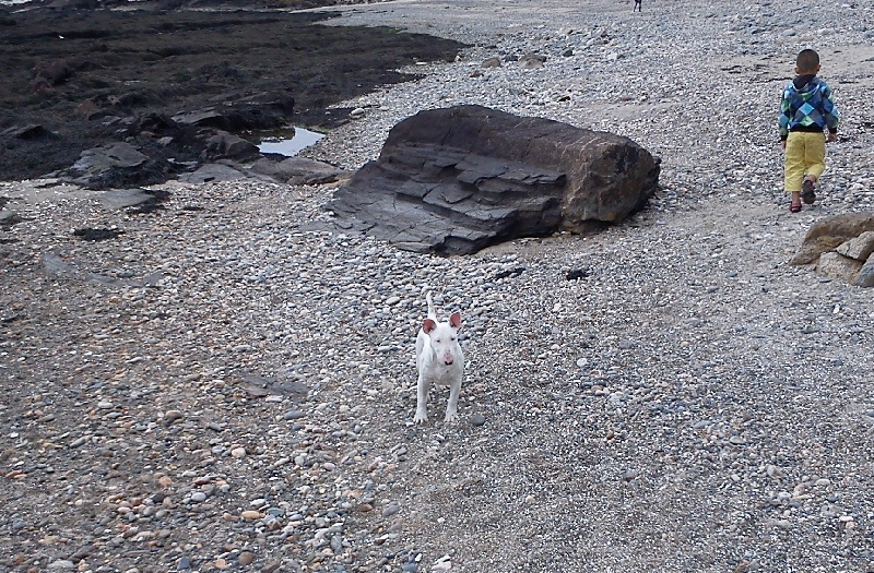 Publication : de la Tribu Parisii Auteur : Poinson