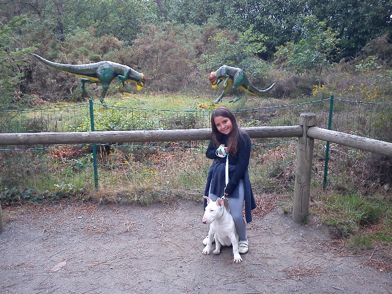 Publication : de la Tribu Parisii Auteur : Poinson