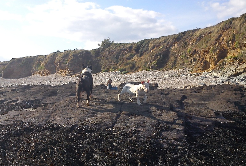 Publication : de la Tribu Parisii Auteur : Poinson